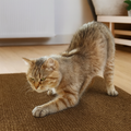 Arranhador Adesivo Para Gatos
