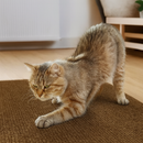 Arranhador Adesivo Para Gatos