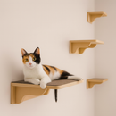 Playground de Parede para Gatos
