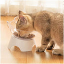 Tigela Elevada e Inclinada para Gatos