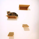 Playground de Parede para Gatos