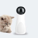 Brinquedo Estimulante de Exercícios para Gatos