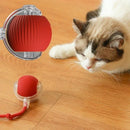 Brinquedo Inteligente Felino