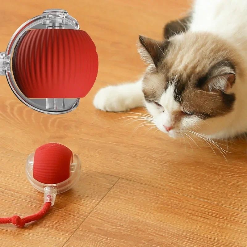 Brinquedo Inteligente Felino