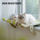 Rede de Janela para Gatos
